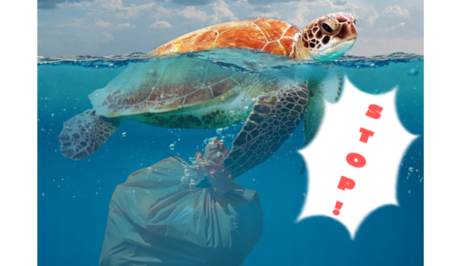 海を守りたい！世界のプラスチックゴミ問題の現状と対策を考えよう！