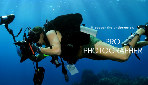 インスタグラムも活動中！僕が気になる水中写真家たちについて紹介します