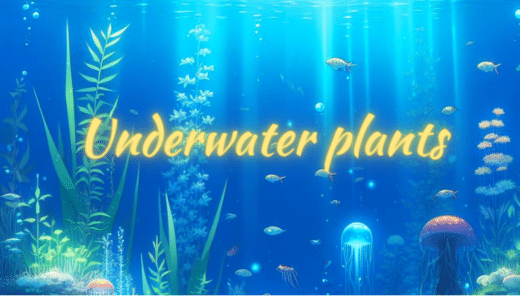 水中の植物の役割：生態系と環境保全の鍵